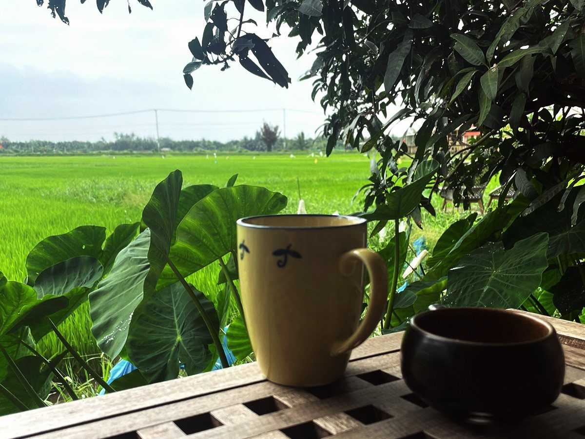 A cup of tea on a wooden table overlooking green rice fields